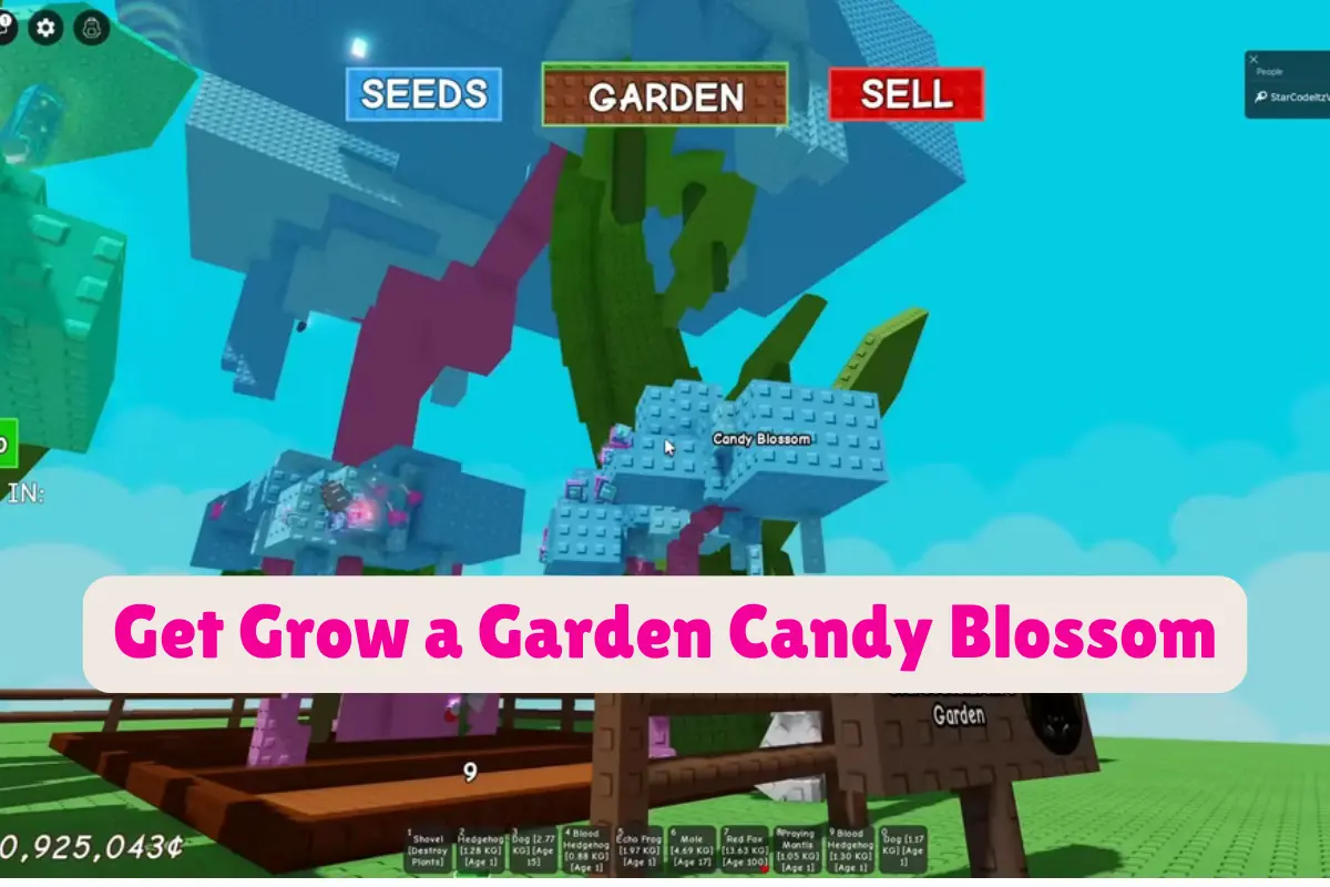 Grow a Garden Candy Blossom Script